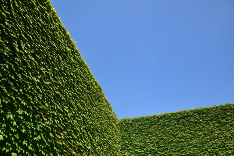 Zorg voor een mooie tuin met de juiste toestellen