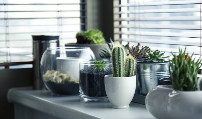 Een interieur zoals in de boekjes? Kies zorgvuldig je raamdecoratie